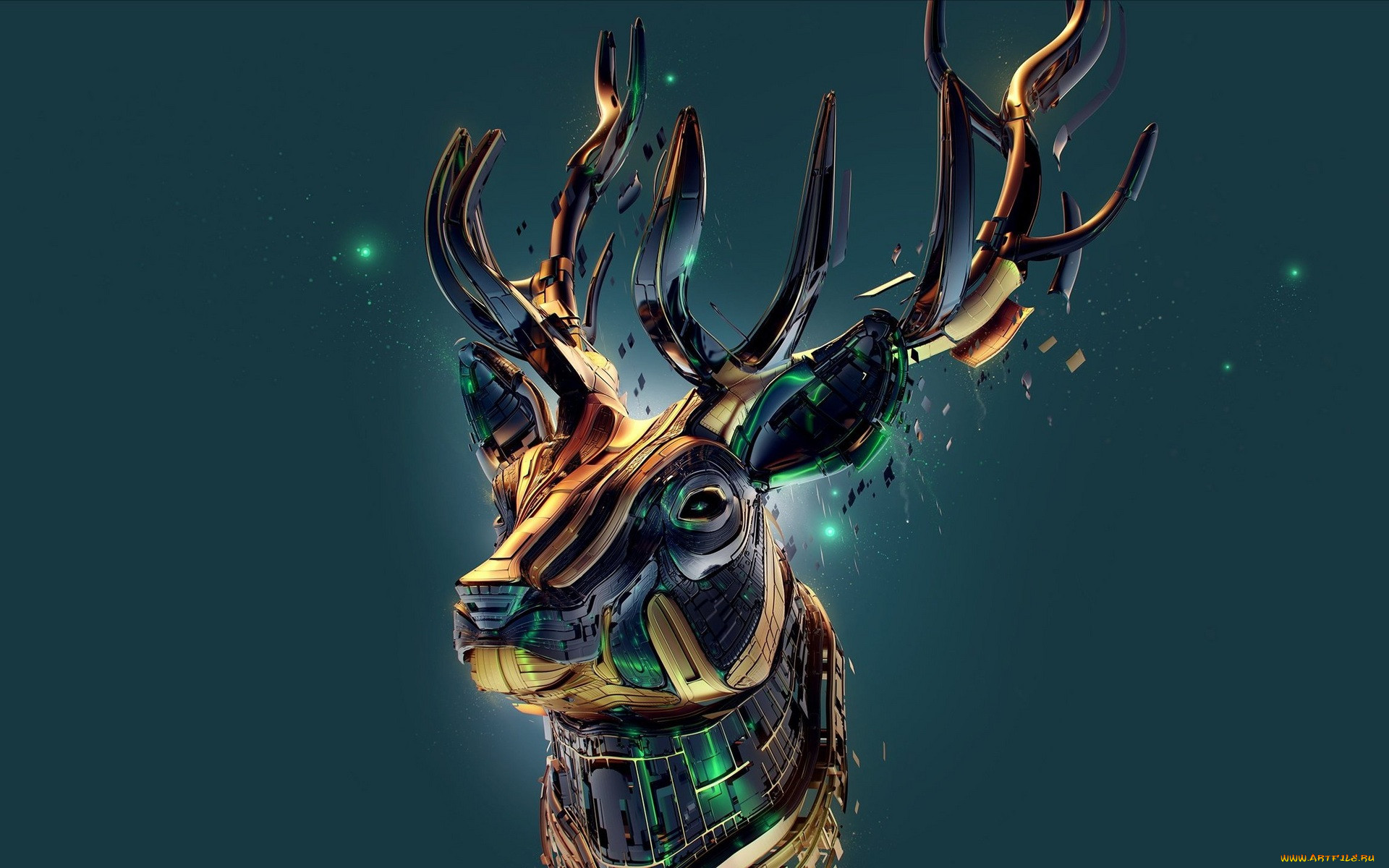 3 ,  , animals, , , , 